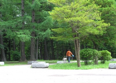 公園で犬の散歩